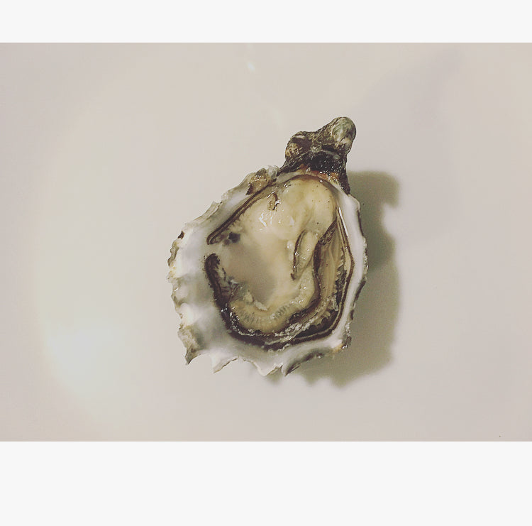 5 dozen Hoshi oyster (60count)